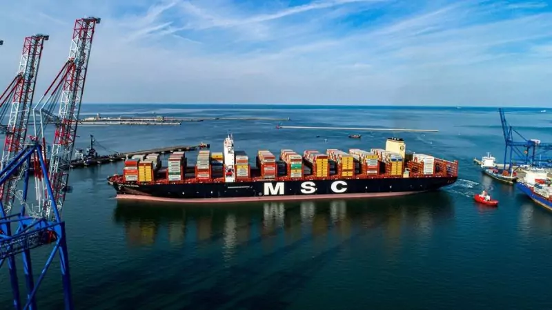 MSC Gulsun tàu container lớn nhất thế giới
