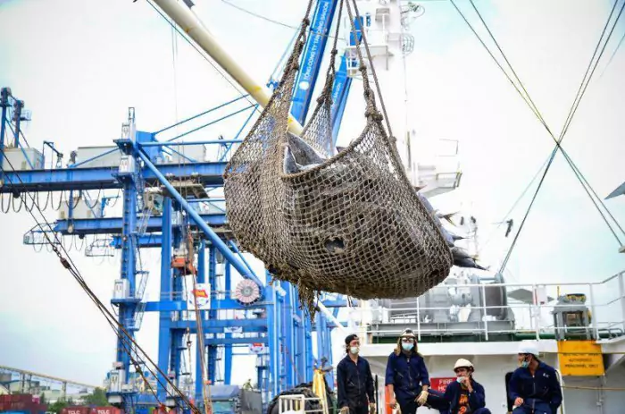 Tàu hàng rời cá ngừ khai thác tại cảng Tân cảng -Hiệp Phước