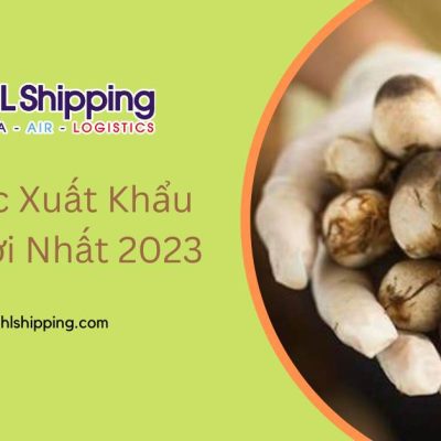 Thủ Tục Xuất Khẩu Nấm Mới Nhất