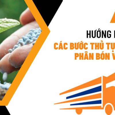Hướng dẫn chi tiết các bước thủ tục nhập khẩu phân bón vào Việt Nam