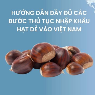 Hướng dẫn đầy đủ các bước thủ tục nhập khẩu hạt dẻ vào Việt Nam