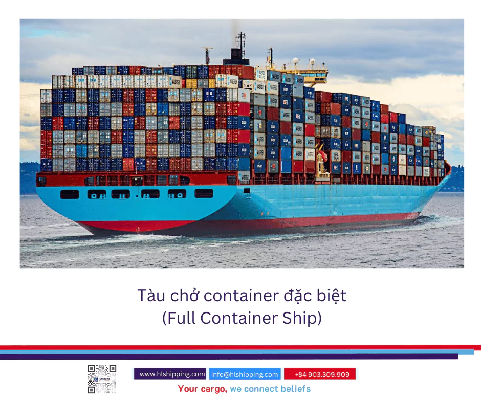 Tàu chở container đặc biệt (Full Container Ship)