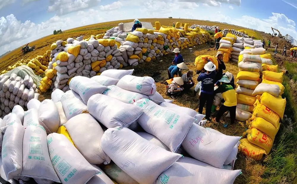 Việt Nam lần đầu tiên trở thành quốc gia xuất khẩu gạo lớn nhất vào thị trường Singapore
