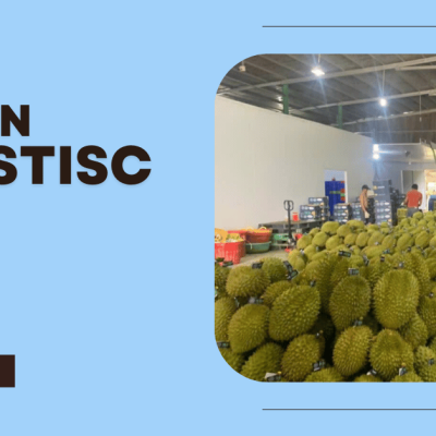 bản tin tuần logistics