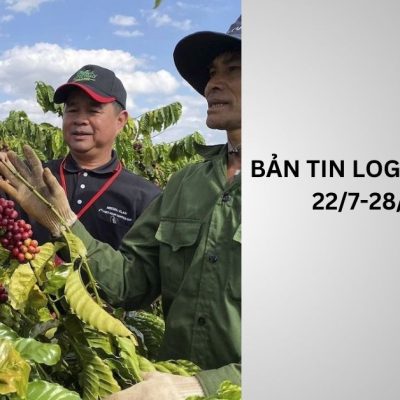 bản tin logistics