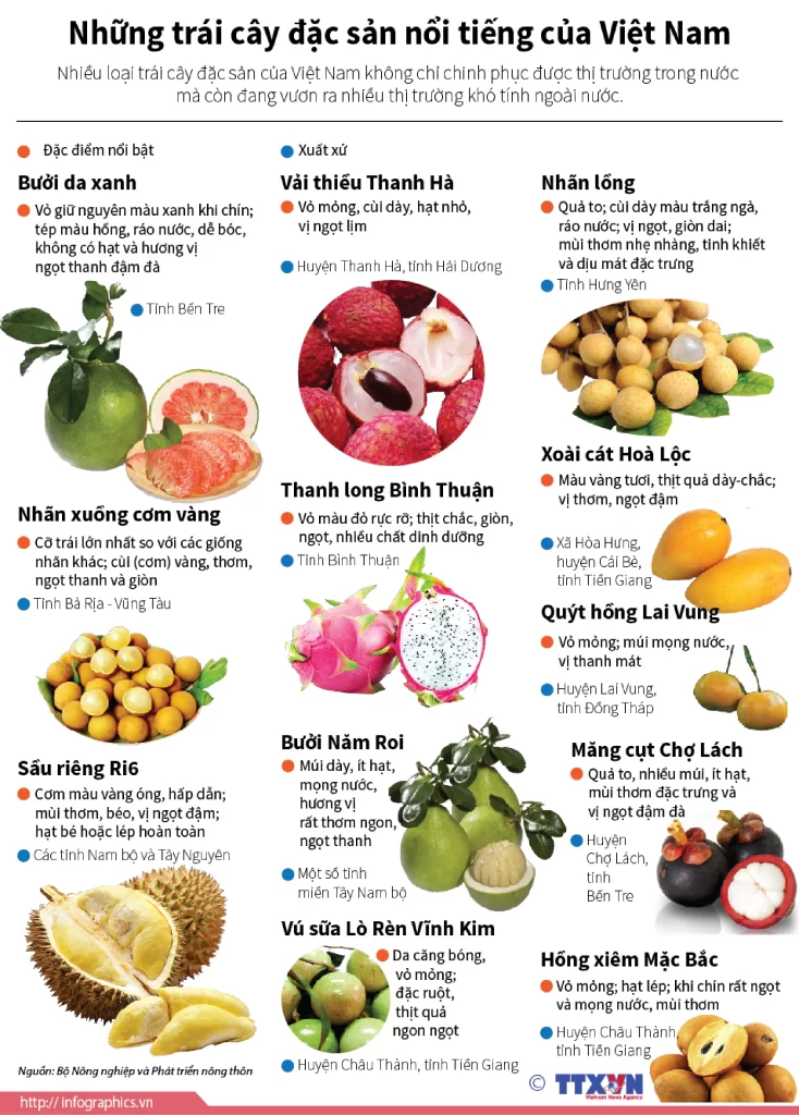 Nhiều loại trái cây đặc sản của Việt Nam không chỉ chinh phục được thị trường trong nước mà còn đang vươn ra nhiều thị trường khó tính ngoài nước.