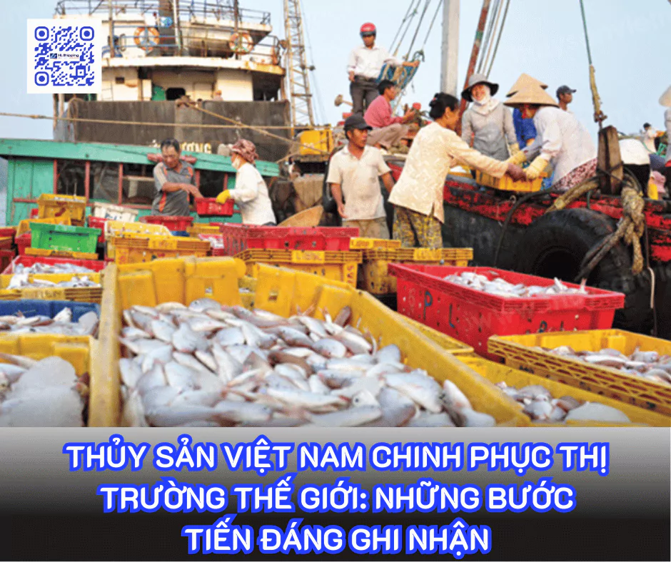 Thủy sản Việt Nam chinh phục thị trường thế giới: Những bước tiến đáng ghi nhận