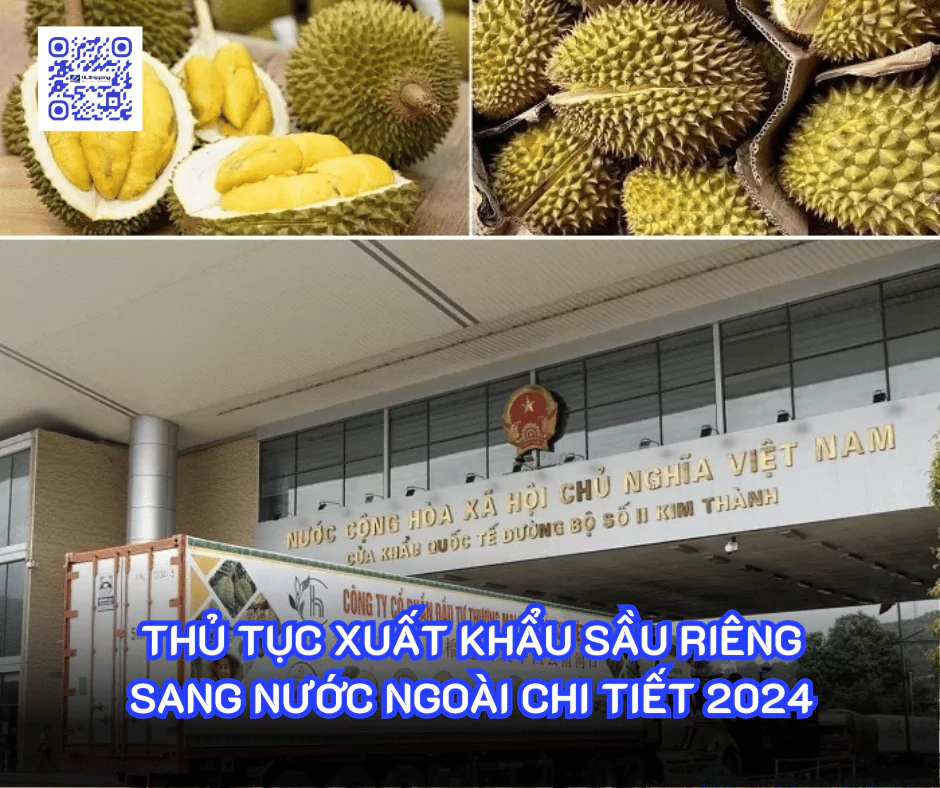 Thủ tục xuất khẩu sầu riêng sang nước ngoài chi tiết 2024