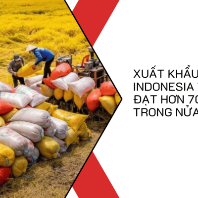 Xuất khẩu gạo sang Indonesia tăng mạnh, đạt hơn 700.000 tấn trong nửa đầu năm.