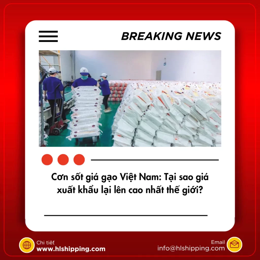 Giá Gạo Việt Nam: Tăng Cao Nhất Thế Giới