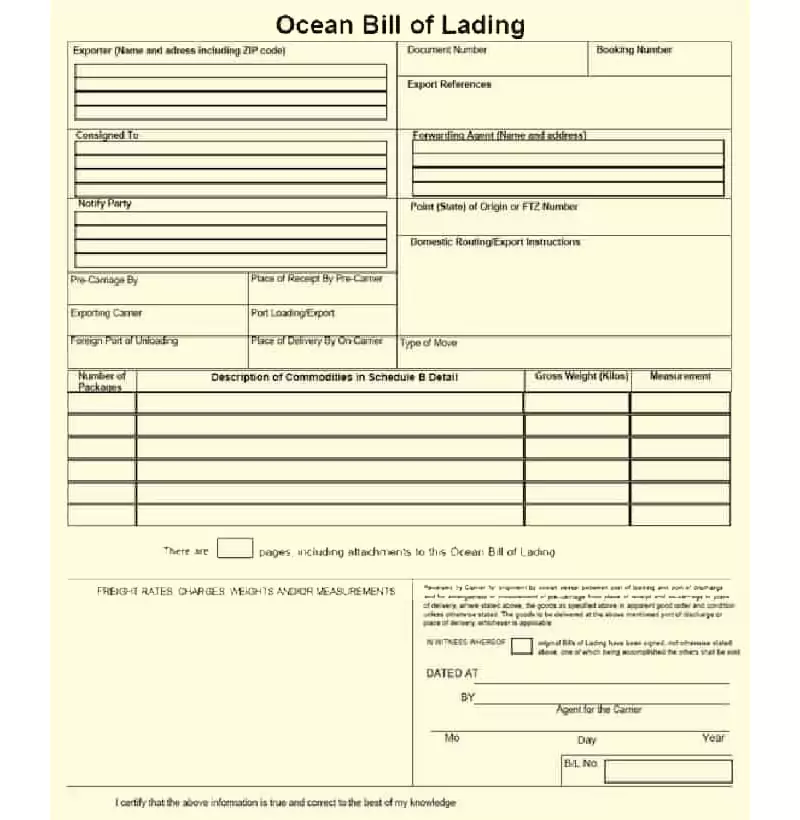 Mẫu vận đơn sạch – Clean bill of lading