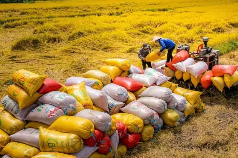 Xuất khẩu tăng 4.000%, nước ta trở thành cứu tinh châu Á