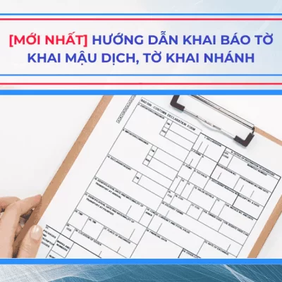 [MỚI NHẤT] Hướng Dẫn Khai Báo Tờ Khai Mậu Dịch, Tờ Khai Nhánh