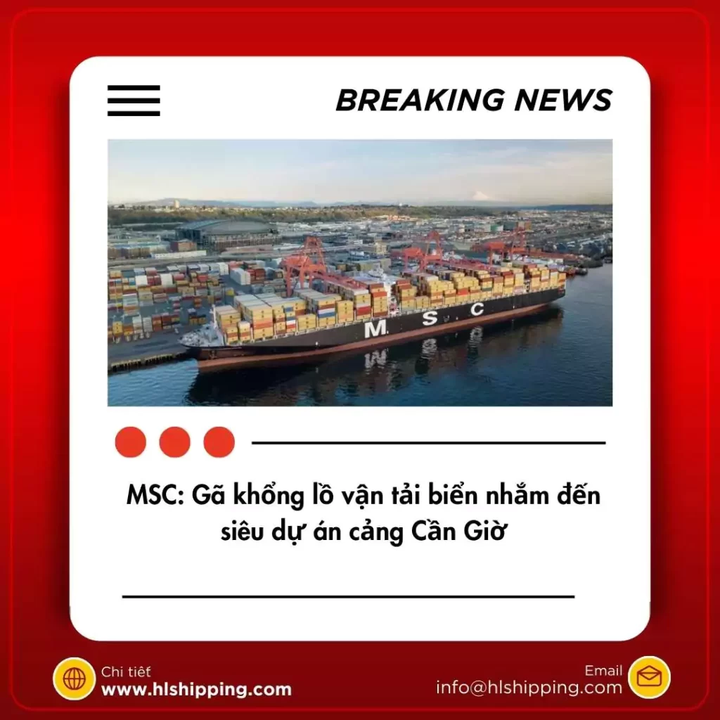 MSC: Gã khổng lồ vận tải biển nhắm đến siêu dự án cảng Cần Giờ