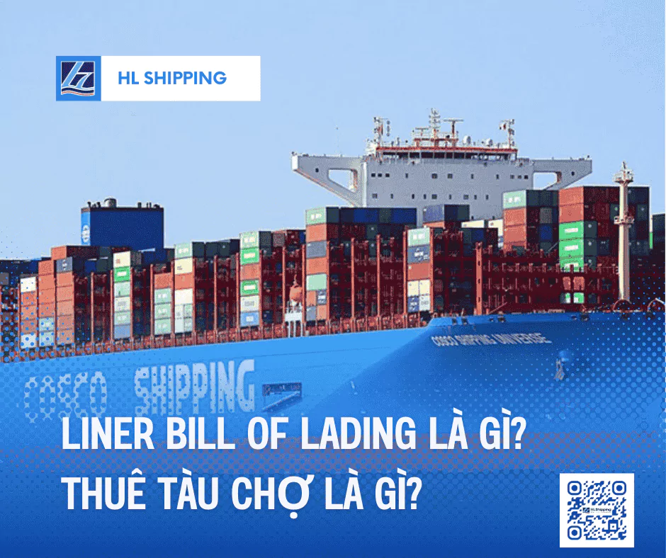 Liner Bill of Lading Là Gì? Thuê Tàu Chợ Là Gì?