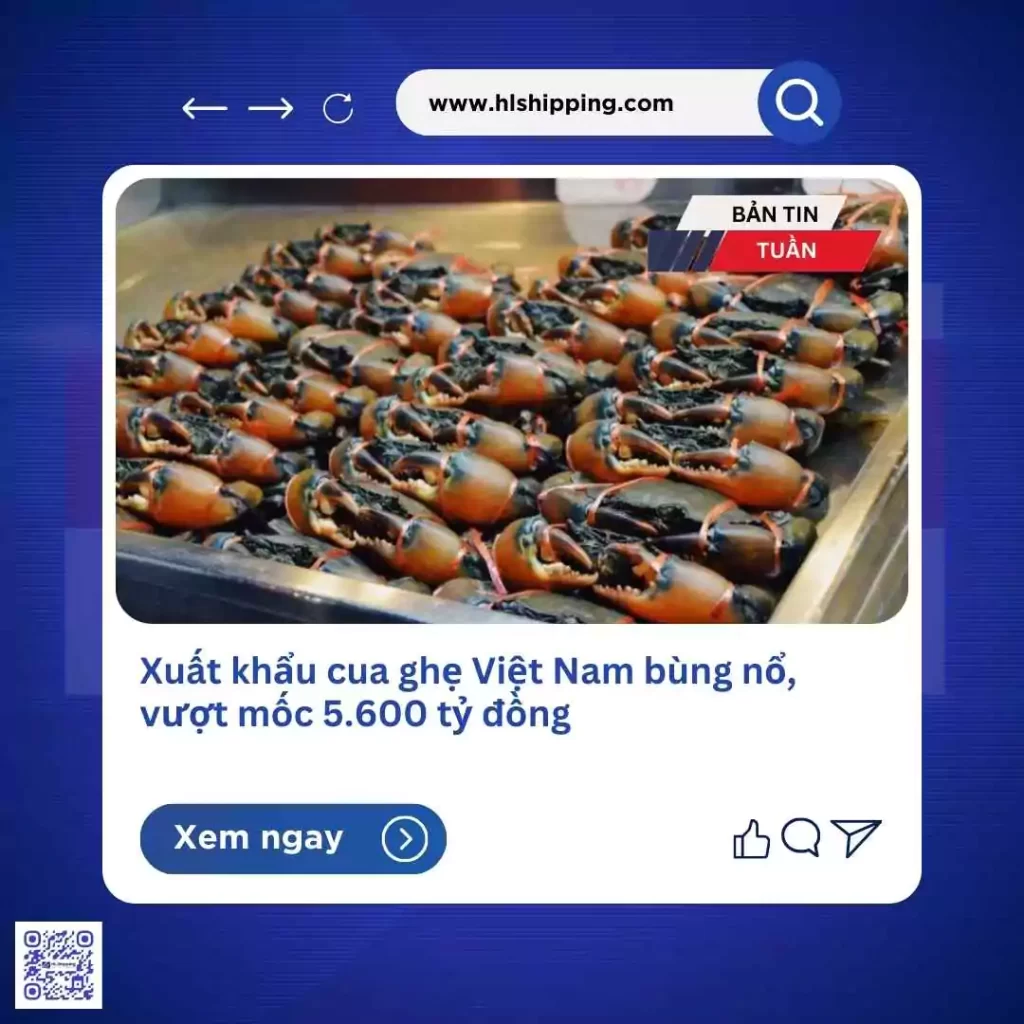 Xuất khẩu cua ghẹ Việt Nam bùng nổ, vượt mốc 5.600 tỷ đồng