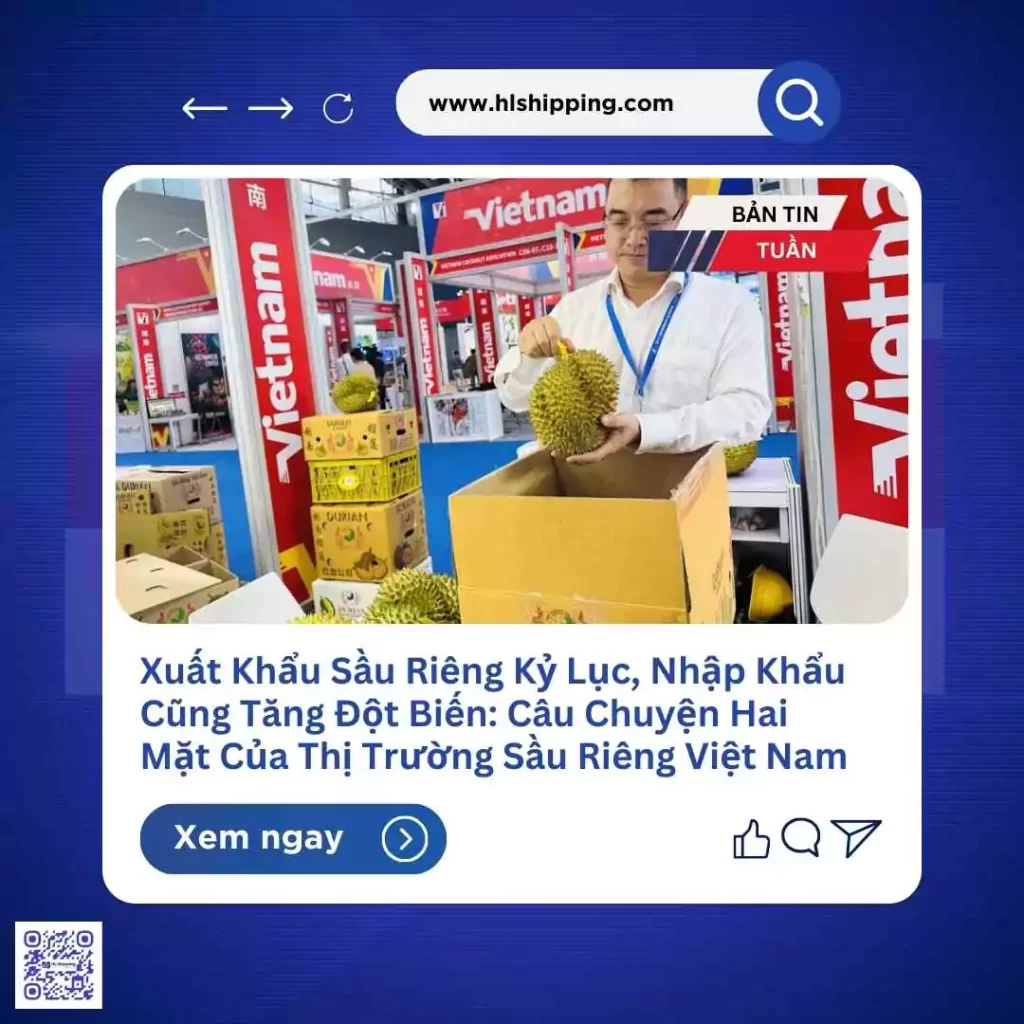 Xuất Khẩu Sầu Riêng Kỷ Lục, Nhập Khẩu Cũng Tăng Đột Biến: Câu Chuyện Hai Mặt Của Thị Trường Sầu Riêng Việt Nam