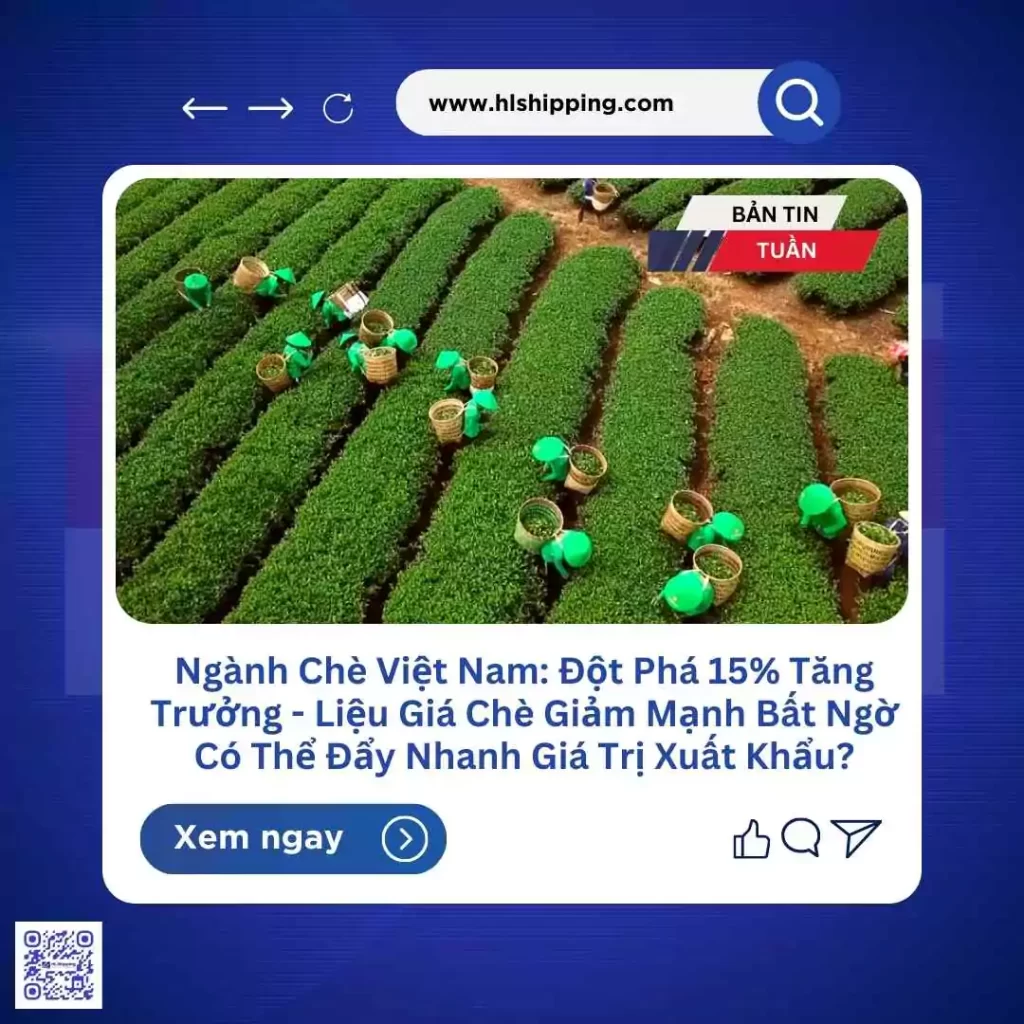 Ngành Chè Việt Nam: Đột Phá 15% Tăng Trưởng - Liệu Giá Chè Giảm Mạnh Bất Ngờ Có Thể Đẩy Nhanh Giá Trị Xuất Khẩu?