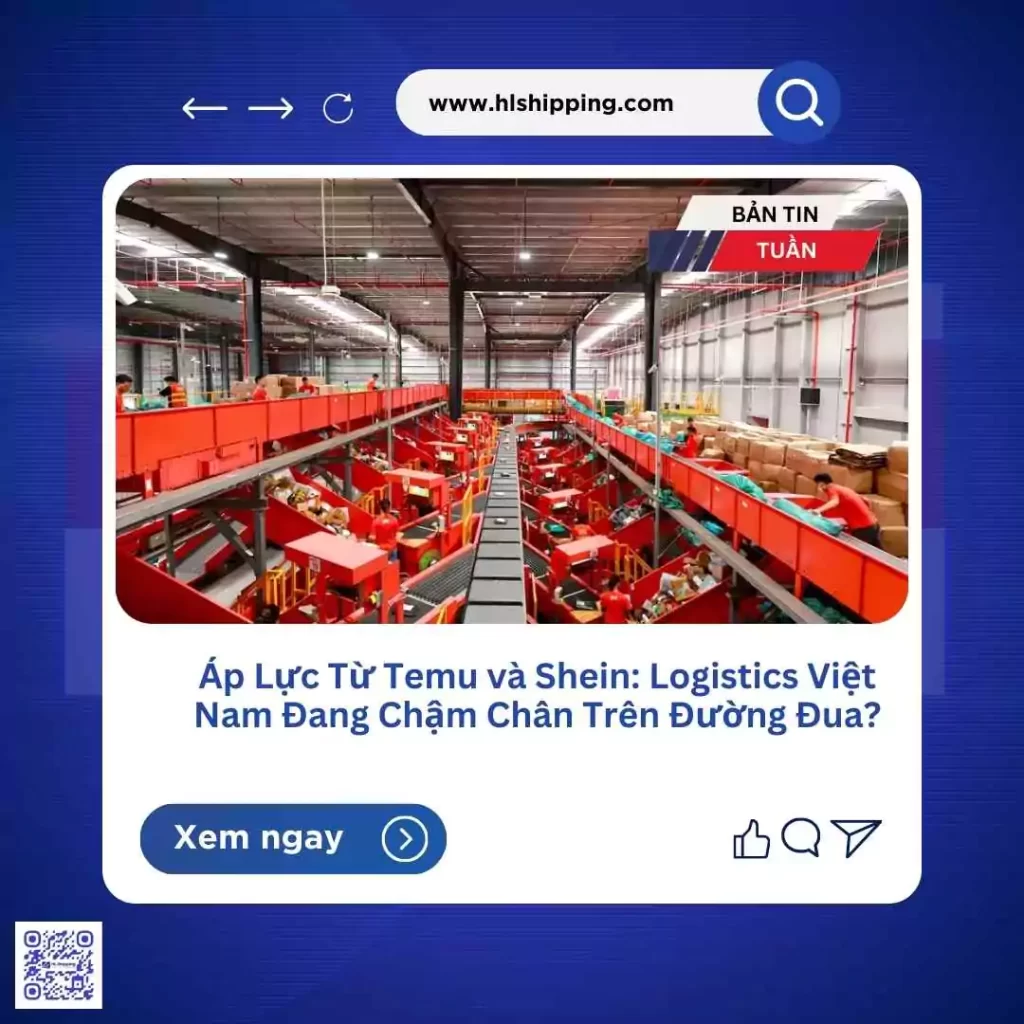 Áp Lực Từ Temu và Shein: Logistics Việt Nam Đang Chậm Chân Trên Đường Đua?