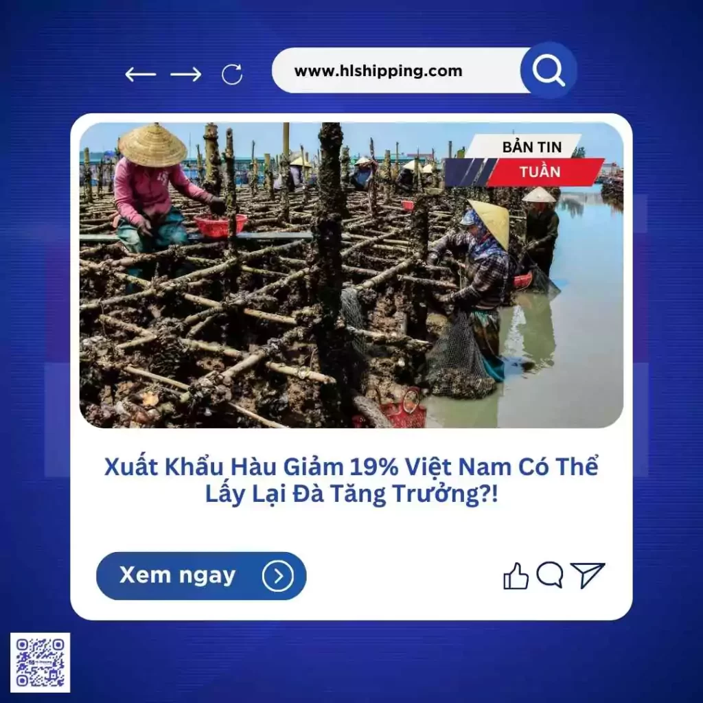 Xuất Khẩu Hàu Giảm 19% Việt Nam Có Thể Lấy Lại Đà Tăng Trưởng?!