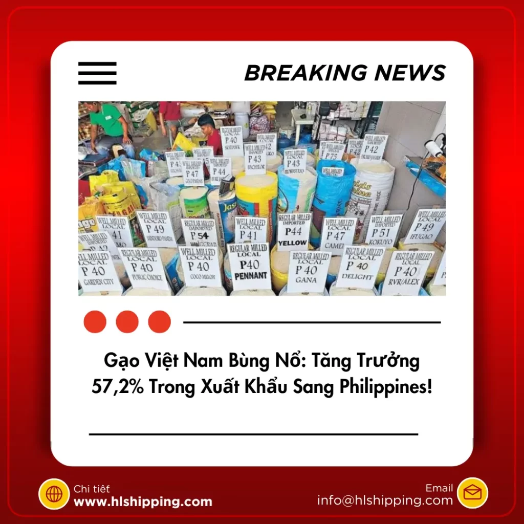 Gạo Việt Nam Bùng Nổ: Tăng Trưởng 57,2% Trong Xuất Khẩu Sang Philippines!