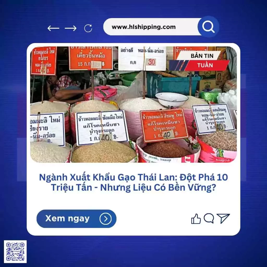 Ngành Xuất Khẩu Gạo Thái Lan: Đột Phá 10 Triệu Tấn - Nhưng Liệu Có Bền Vững?