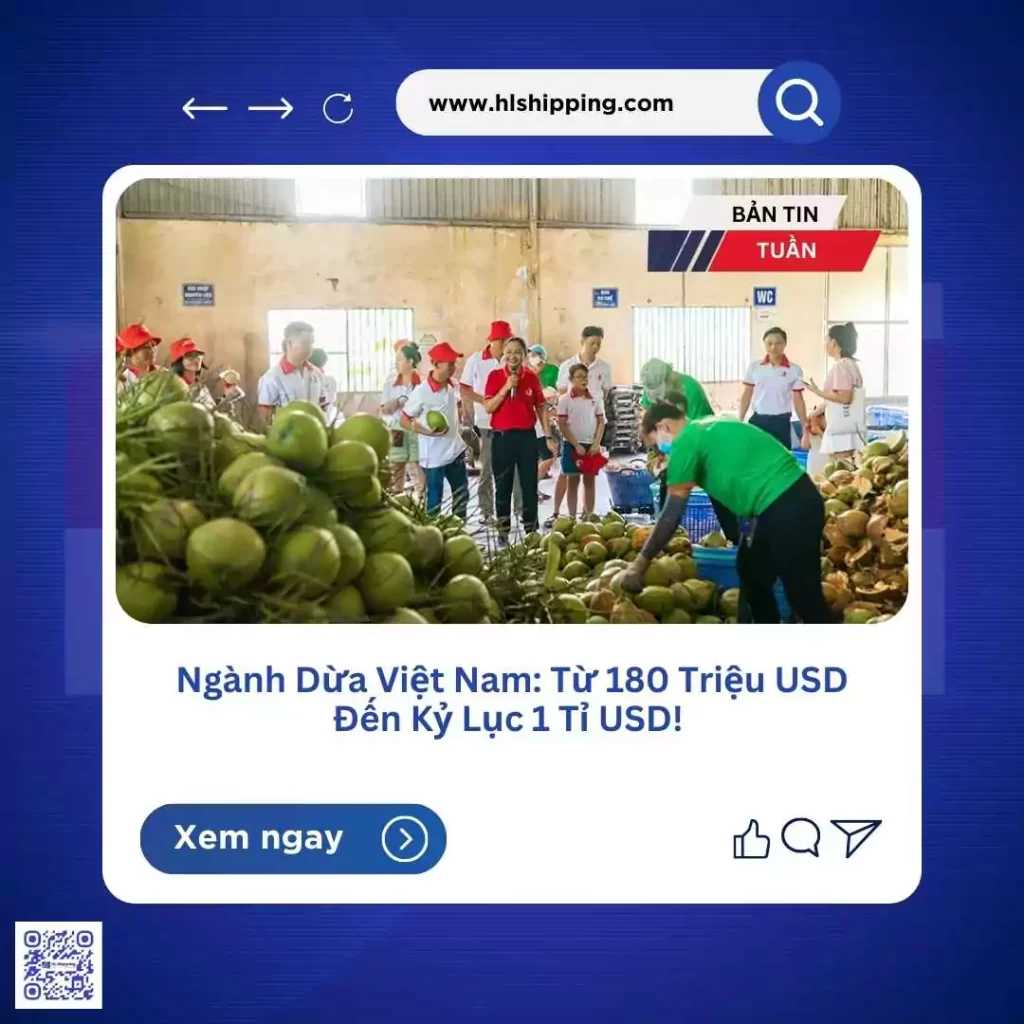 Ngành Dừa Việt Nam: Từ 180 Triệu USD Đến Kỷ Lục 1 Tỉ USD! 