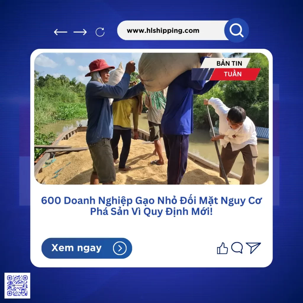 600 Doanh Nghiệp Gạo Nhỏ Đối Mặt Nguy Cơ Phá Sản Vì Quy Định Mới!