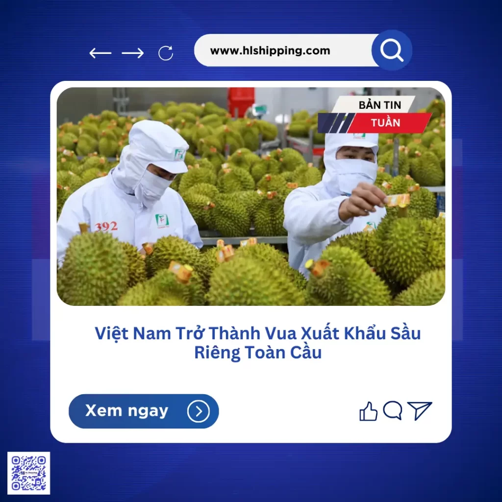 Việt Nam Trở Thành Vua Xuất Khẩu Sầu Riêng Toàn Cầu