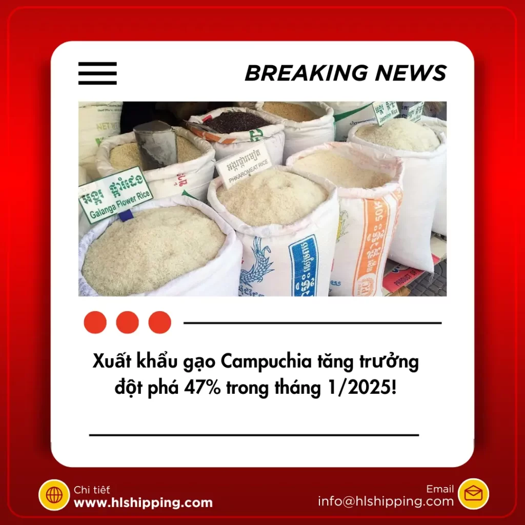 Xuất khẩu gạo Campuchia tăng trưởng đột phá 47% trong tháng 1/2025!