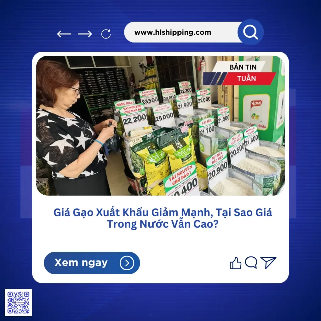 Giá Gạo Xuất Khẩu Giảm Mạnh, Tại Sao Giá Trong Nước Vẫn Cao?