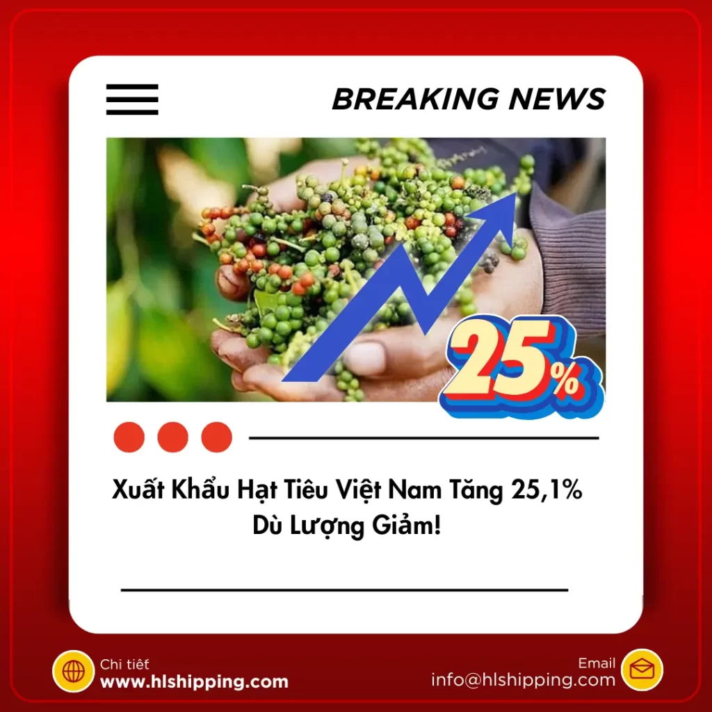 Xuất Khẩu Hạt Tiêu Việt Nam Tăng 25,1% Dù Lượng Giảm!