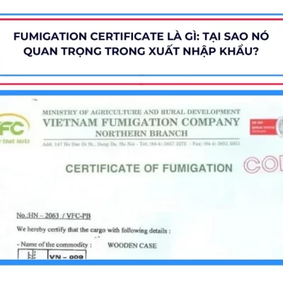 Fumigation Certificate là gì: Tại Sao Nó Quan Trọng Trong Xuất Nhập Khẩu?