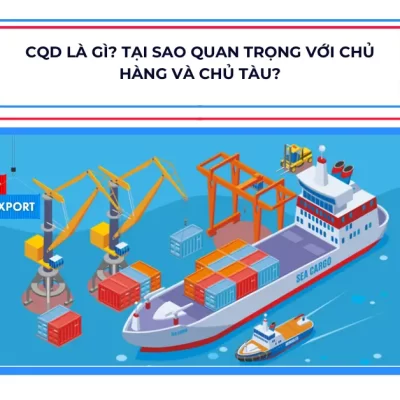 CQD là gì? Tại sao quan trọng với chủ hàng và chủ tàu?