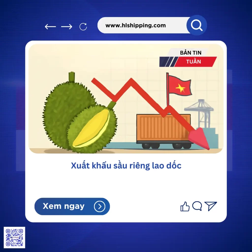 Xuất khẩu sầu riêng lao dốc