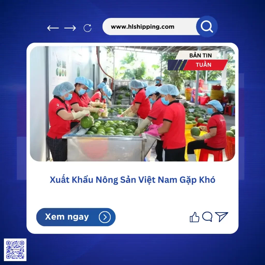 Xuất Khẩu Nông Sản Việt Nam Gặp Khó