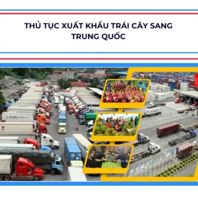 Hướng Dẫn Thủ Tục Xuất Khẩu Trái Cây Sang Trung Quốc