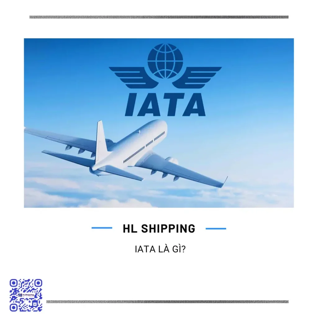 IATA là gì?