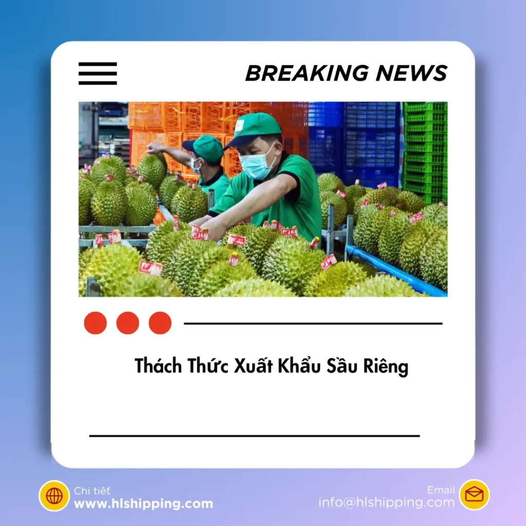  Thách Thức Xuất Khẩu Sầu Riêng