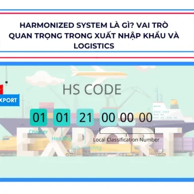 Harmonized System là gì? Vai trò quan trọng trong xuất nhập khẩu và logistics