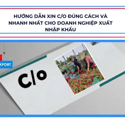 Hướng dẫn xin C/O đúng cách và nhanh nhất cho doanh nghiệp xuất nhập khẩu