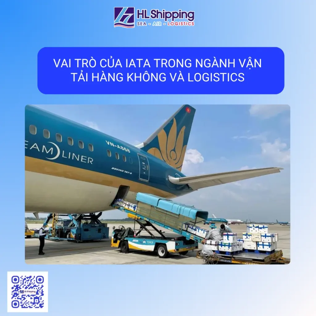 Vai trò của IATA trong ngành vận tải hàng không và logistics