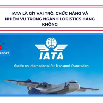 IATA là gì? Vai trò, chức năng và nhiệm vụ trong ngành logistics hàng không