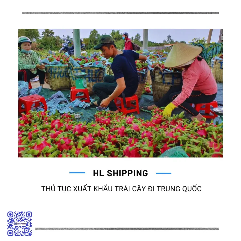 Thủ tục xuất khẩu trái cây đi Trung Quốc chi tiết