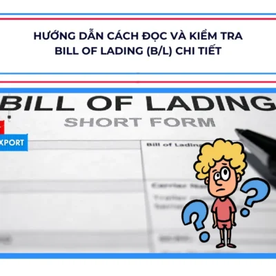 Hướng Dẫn Cách Đọc Và Kiểm Tra Bill Of Lading (B/L) Chi Tiết Từ HL Shipping