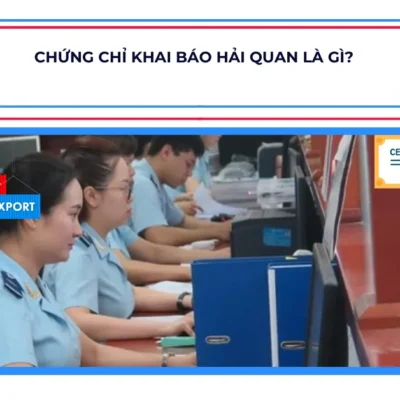 Chứng Chỉ Khai Báo Hải Quan Là Gì?