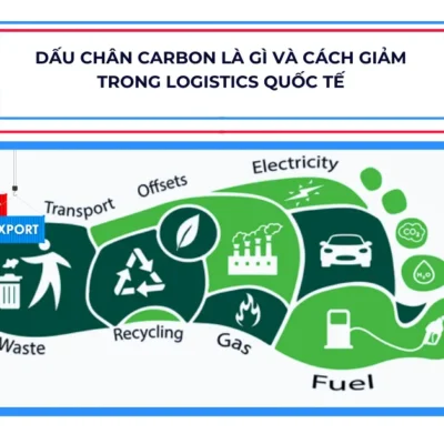 Dấu Chân Carbon Là Gì Và Cách Giảm Trong Logistics Quốc Tế