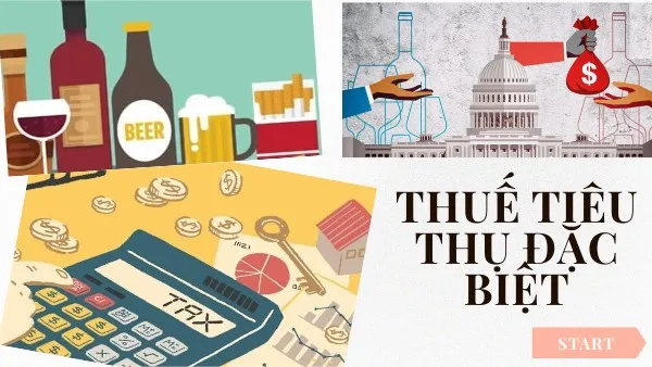 Thuế Tiêu Thụ Đặc Biệt