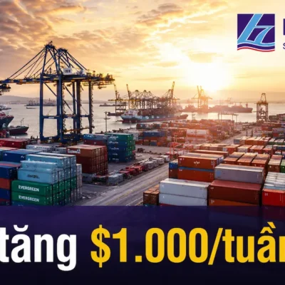 Hormuz, World Cup, thuế Mỹ — 3 thứ đẩy cước container tăng $1.000/tuần