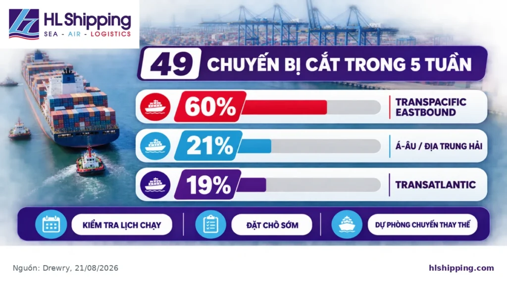 tỷ trọng 49 chuyến blank sailing trên các tuyến Đông–Tây từ tuần 35 đến tuần 39 năm 2026.